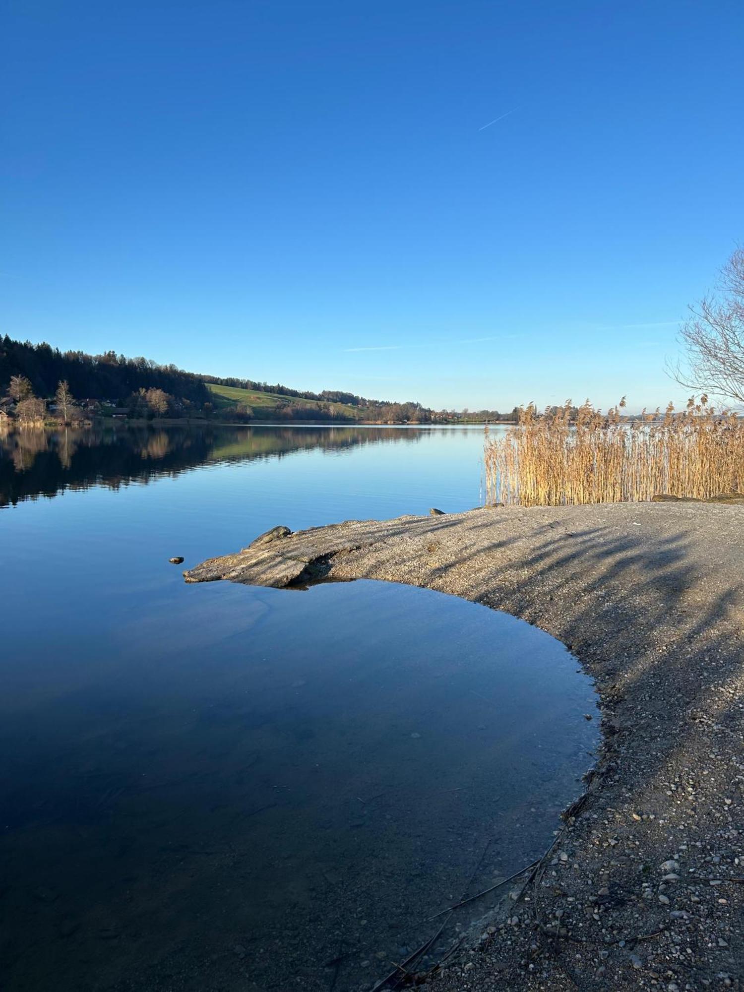Ferienwohnungen Am See Obertrum am See Exterior photo
